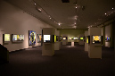 Wasp_exhibition__DSC3528